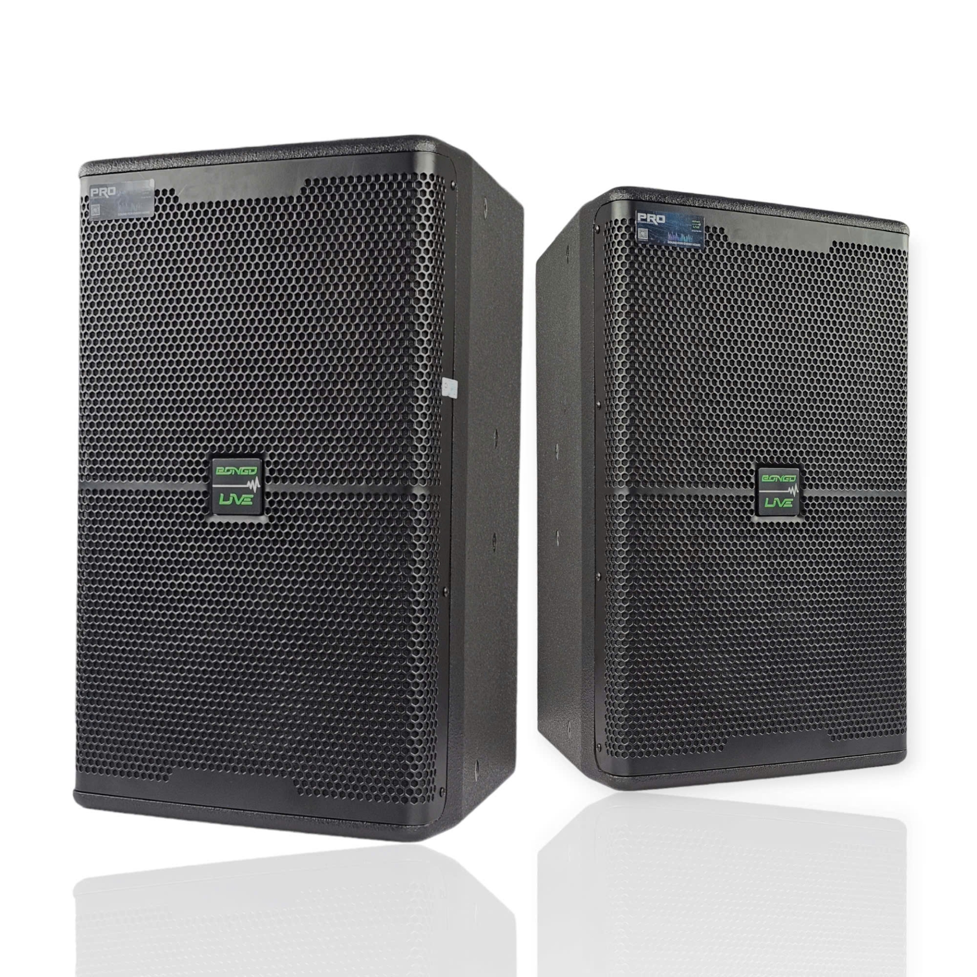 Loa full BONGO LIVE LX-12PRO